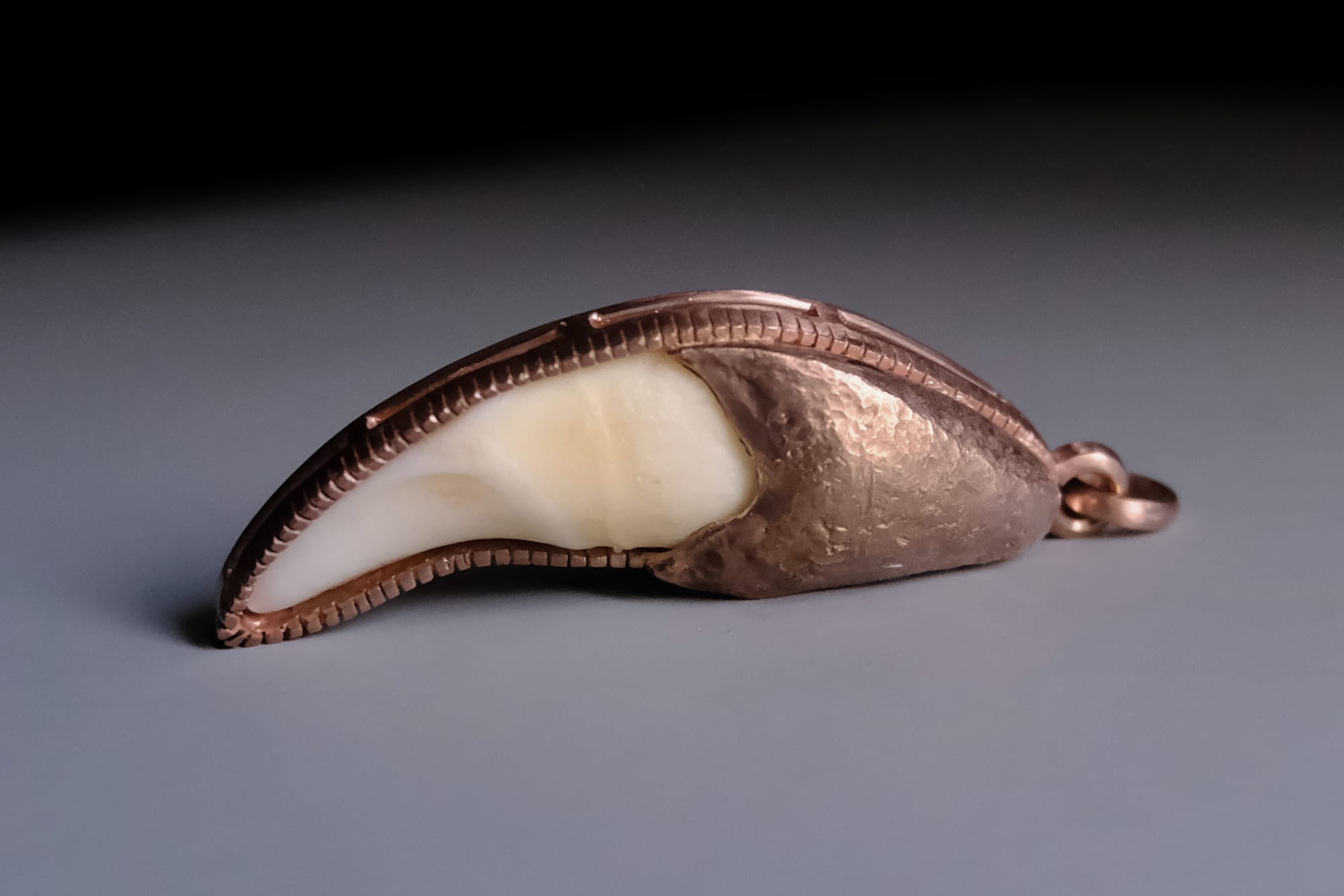 Dog Tooth Pendant, custom dog tooth pendant, custom tooth pendant, tooth gold pendant, tooth pendant necklace, bespoke jewellery singapore, SIJS